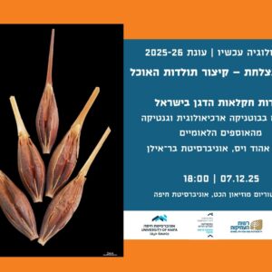 ארכיאולוגיה עכשיו – 2025-26 – חופרים בצלחת: קיצור תולדות האוכל